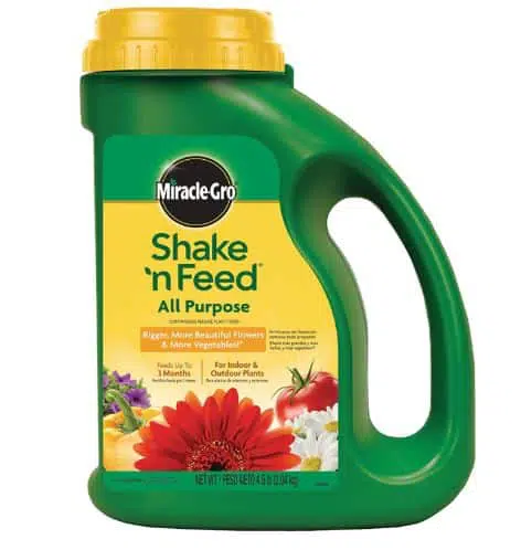 Best fertilizer for citrus trees Miracle Gro.1