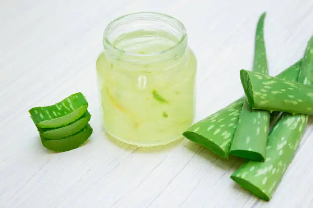 how to cut aloe vera plant without killing it for gel