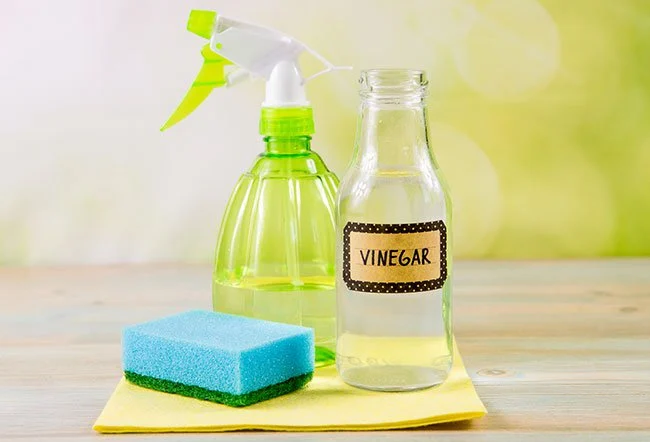 is vinegar a good bug repellent