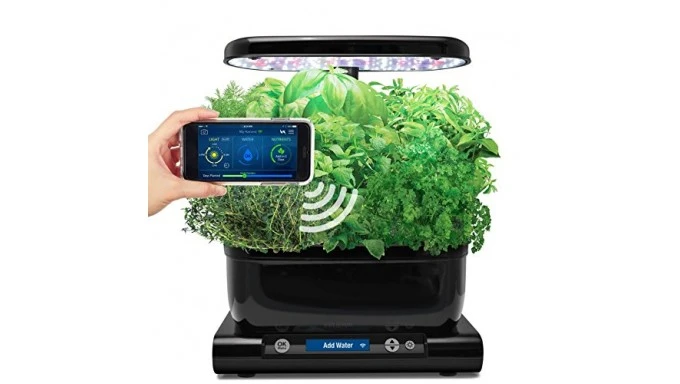 AeroGarden classic 6 with gourmet herb seed pod kit