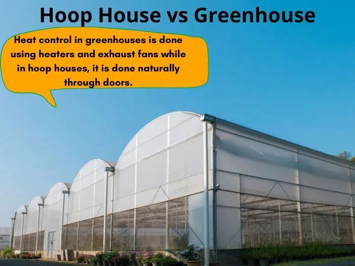 Hoop house vs greenhouse differences
