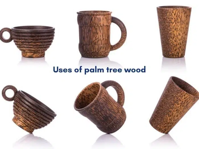 palm tree wood uses