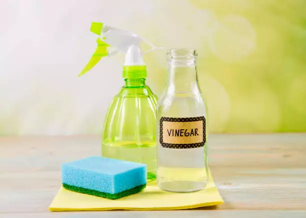 vinegar spray to kill aphids